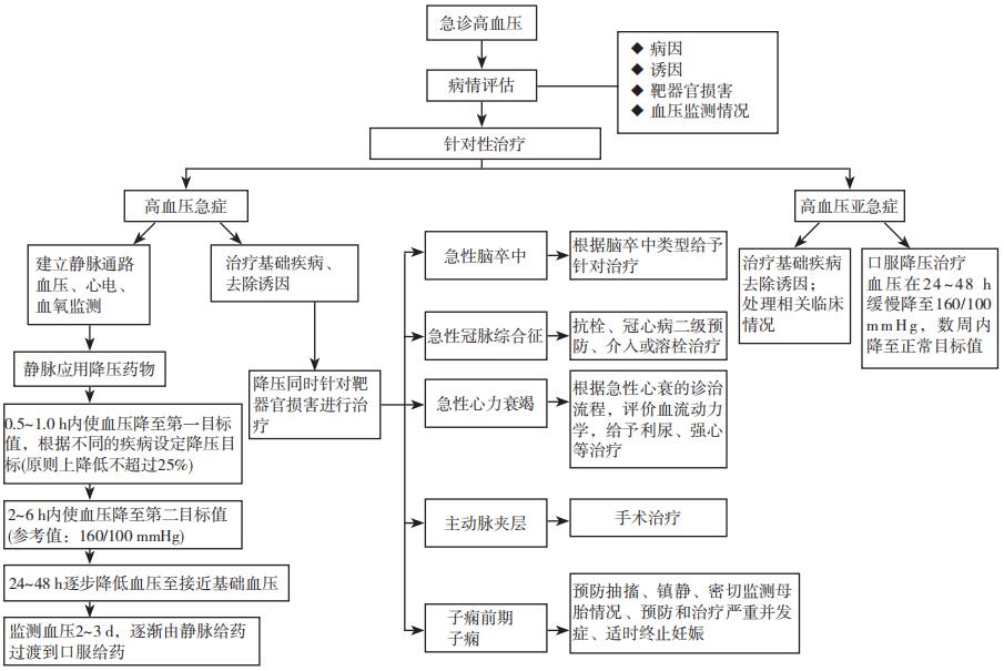 高血压的急救方法图片