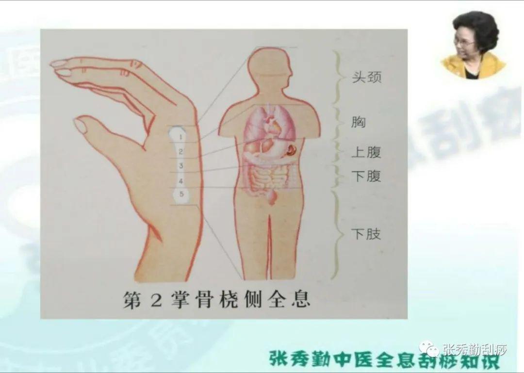 中医全息刮痧百岁奶奶也用的上