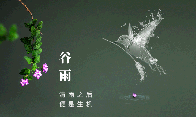谷雨是二十四节气的第六