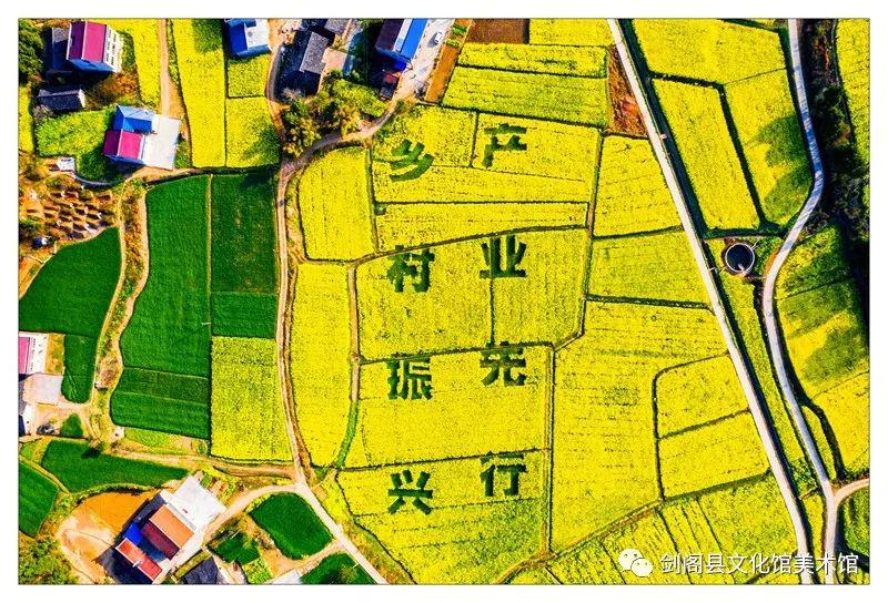 望得到山,美丽双旗 何生剑阁县城北镇水池村登山亭金秋砂糖橘产业园