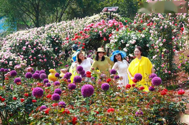 好看又好耍,五一大假全家遊玩到漫花莊園!_花海