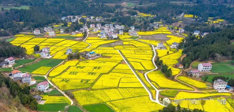 庞海波《剑山未见山农家乐》 武丕星《剑阁县汉阳镇云丰村产业基地》
