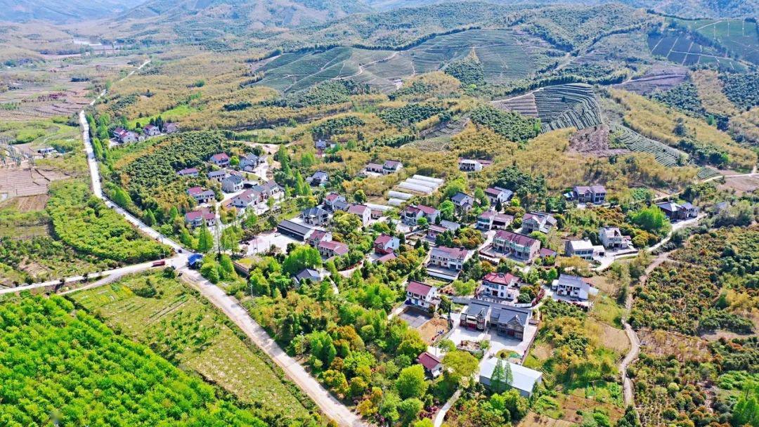 扮"靓"美丽乡村 | 埭溪镇持续推进"全域美丽"建设