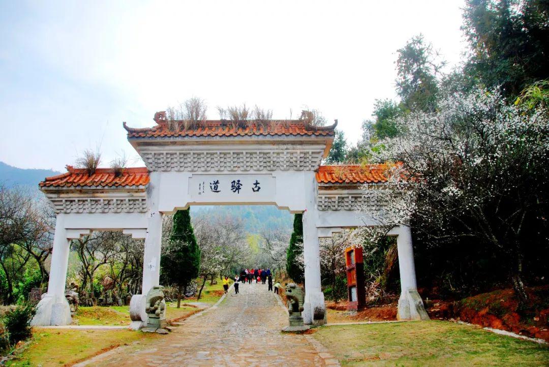 1,康大高速大余出口下,沿323国道前往大余县南安镇梅关大桥旁,即可