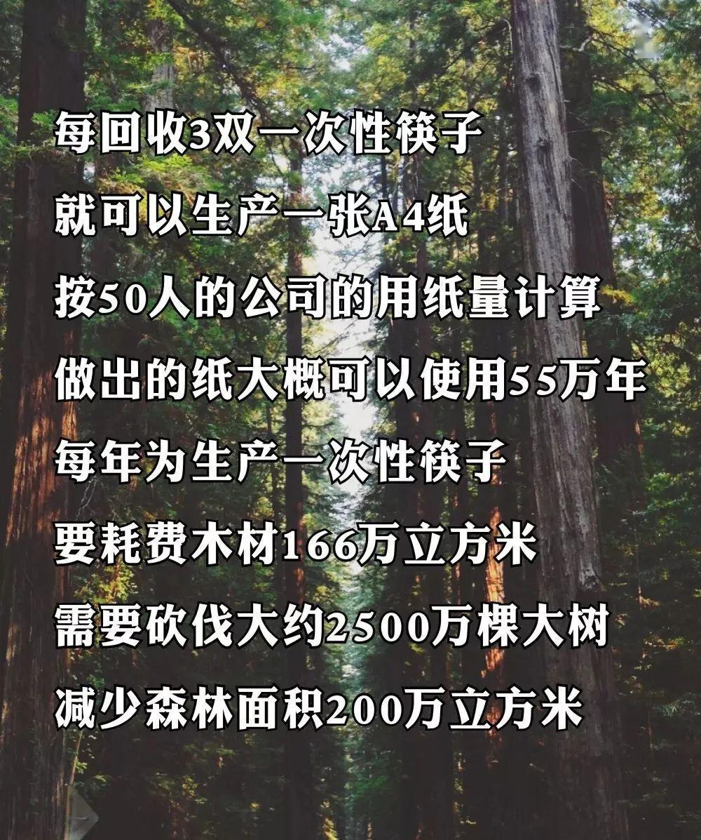 办筷子厂一年能赚多少钱(办筷子厂一年能赚多少钱啊)
