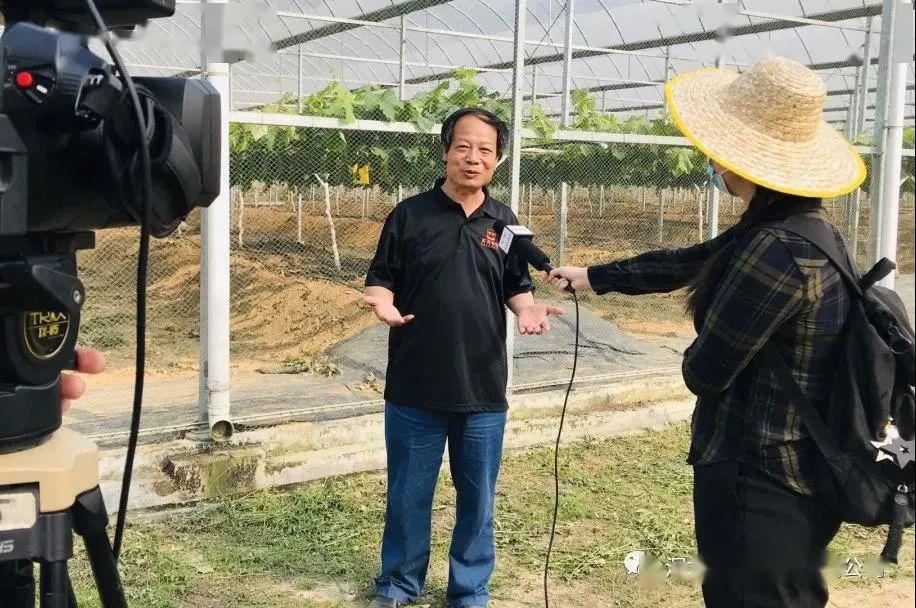 创会会长吴开松单位深圳神农果业上央视了