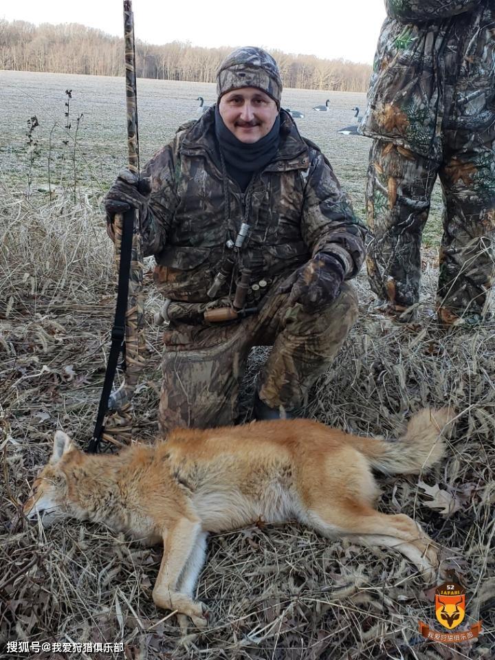 美国蒙大拿鹿狩猎