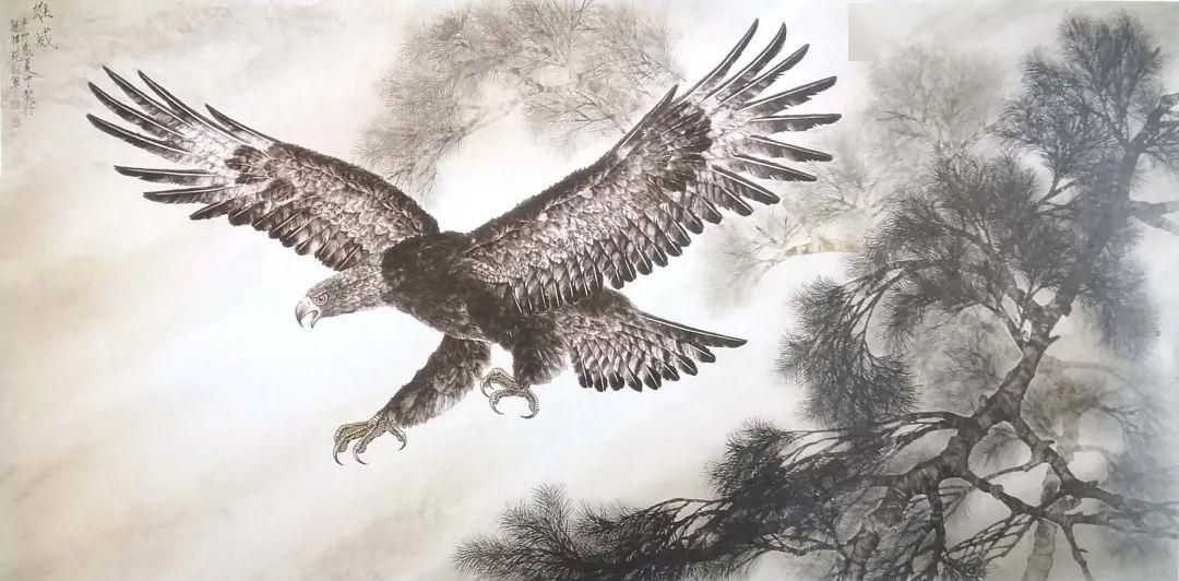 刘军新羽毛画鹰