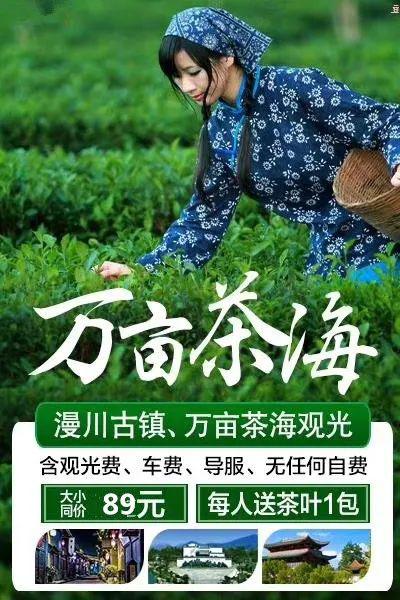 51漫川古镇 万亩茶海 法官原乡一日游(每人赠送茶叶1包)