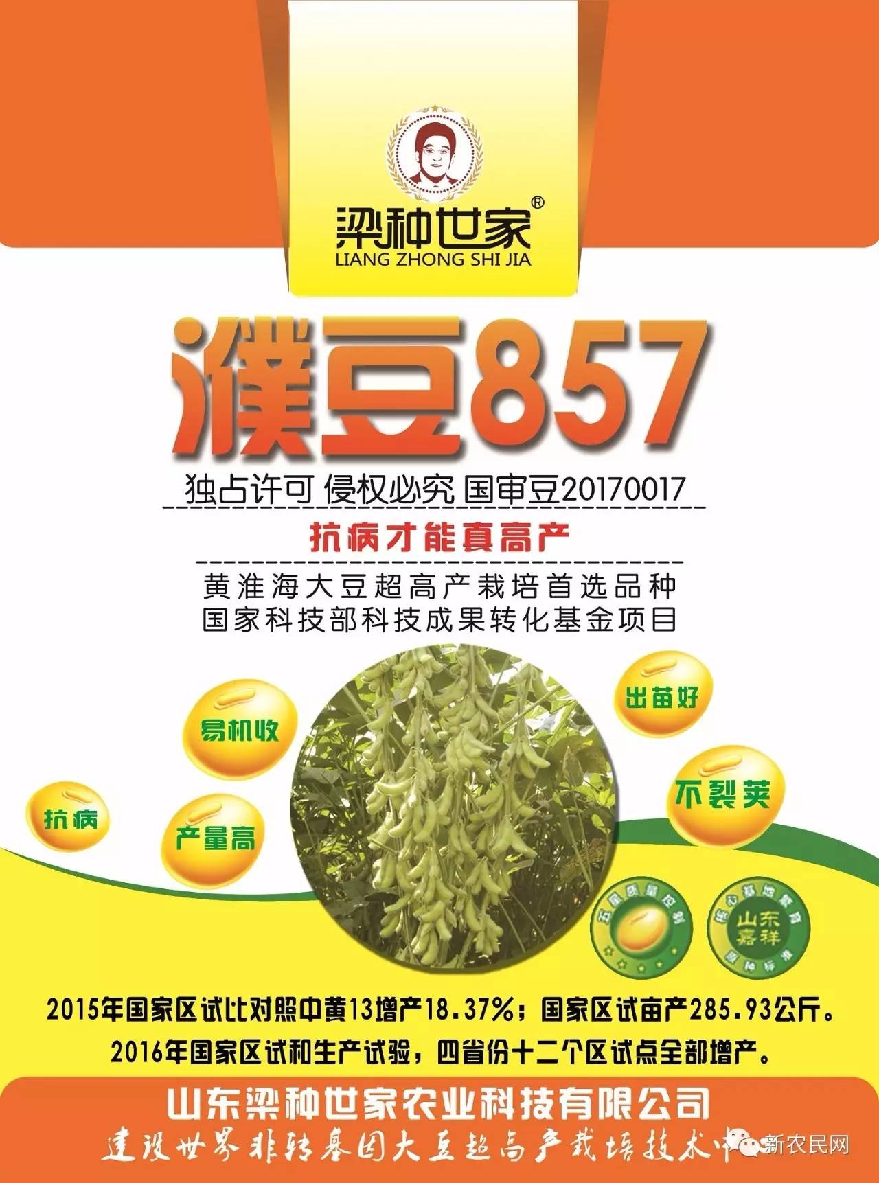 濮豆206图片