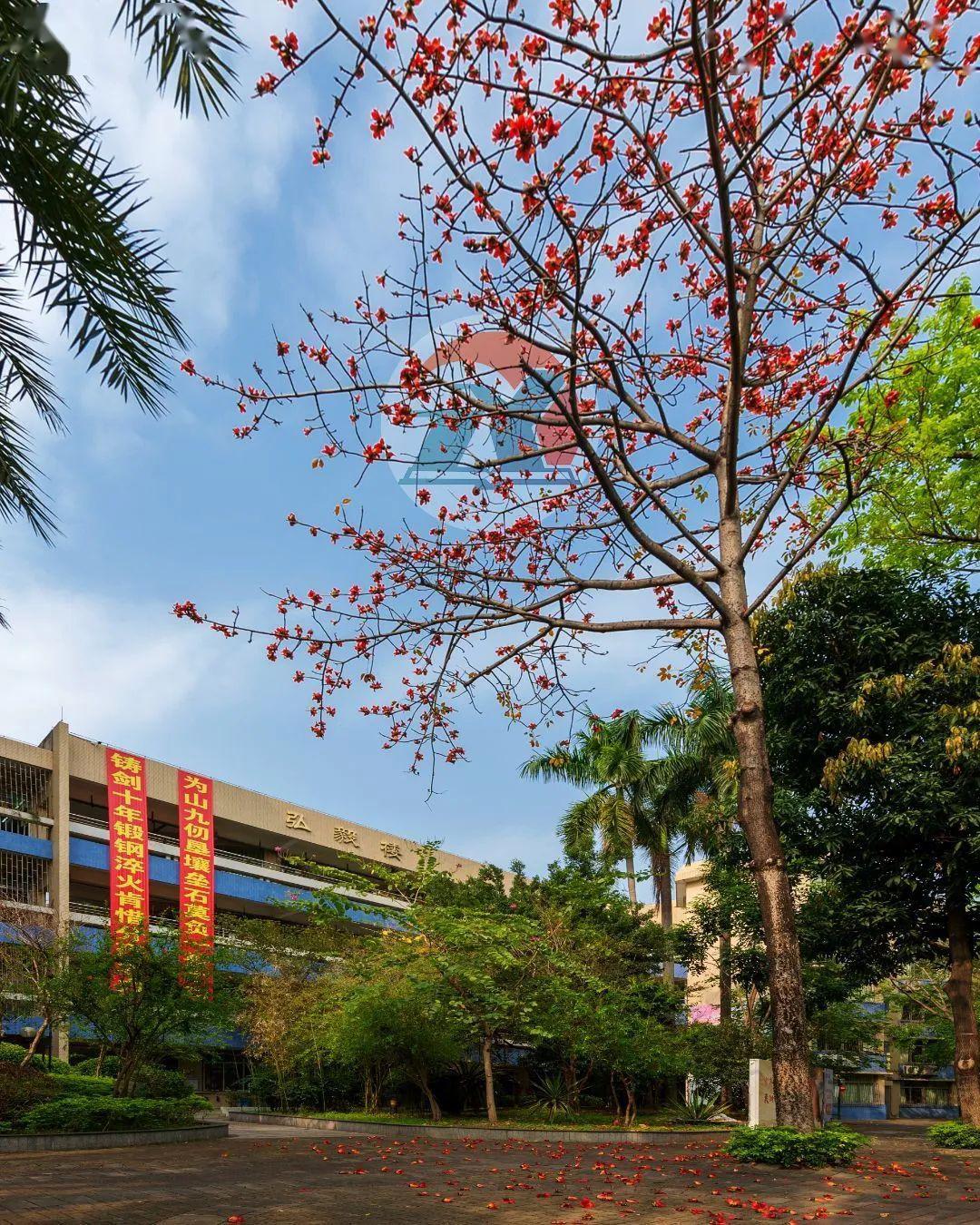 仲元中学是广东省首批国家级示范性普通高中,也是首批广东省一级学校