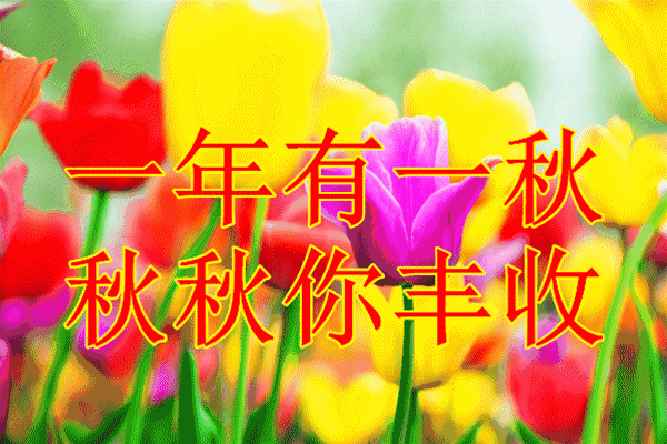 早上好,劳动节到了,祝你节日快乐!_问候
