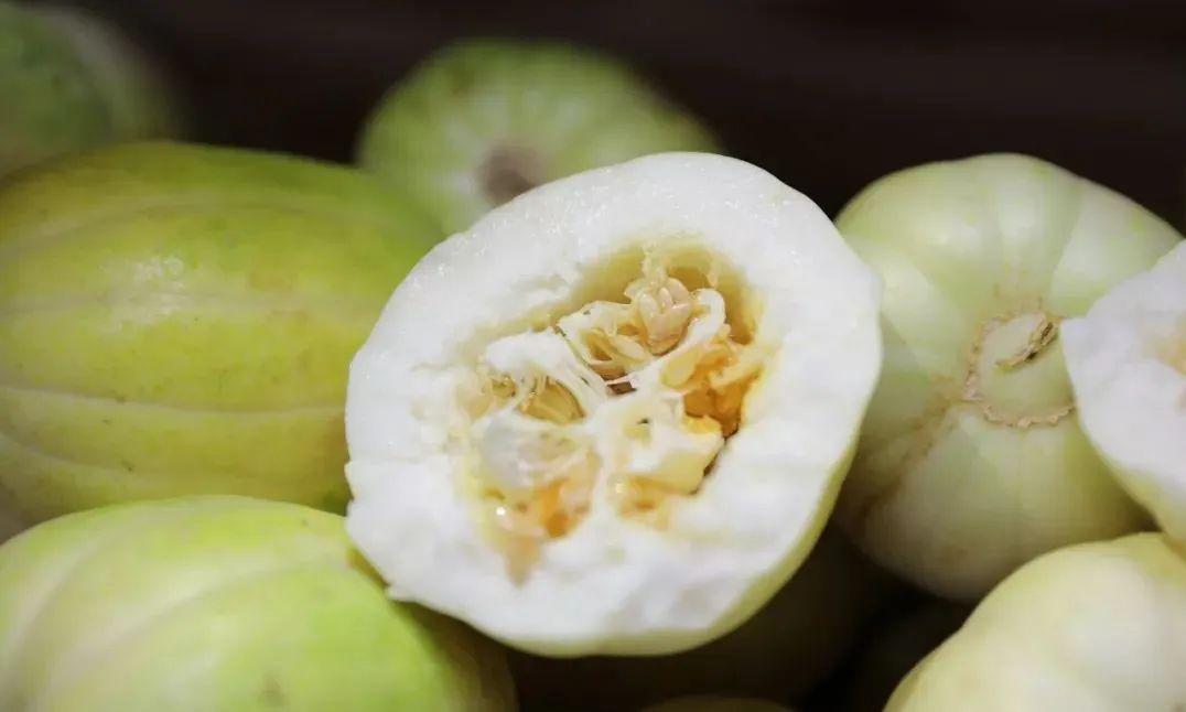 建安奇奇香瓜熟啦香甜可口五一等你来摘