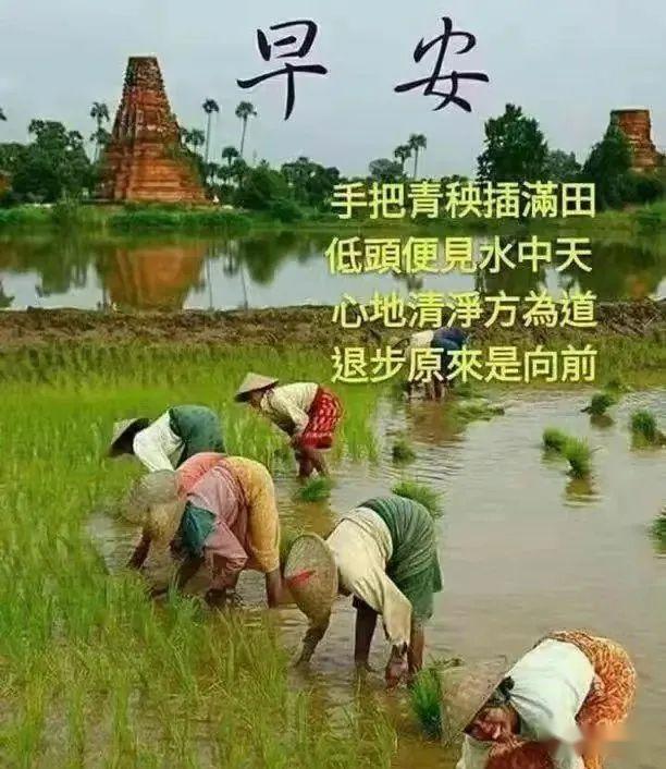 五一节,来到了,我的祝福你收好:一祝你"无一"点忧愁,多一点微笑;二祝