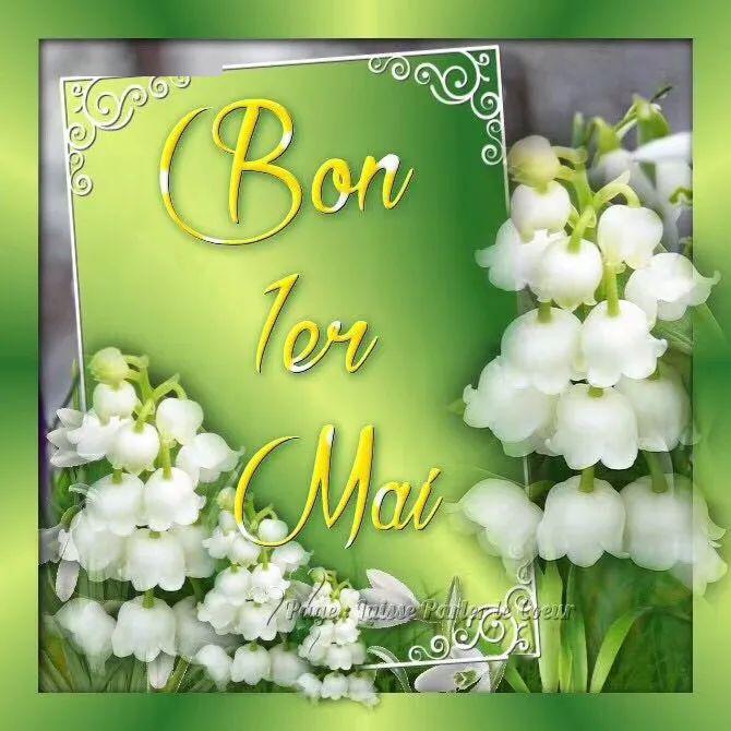 国际五一劳动节暨法国铃兰花节为您带来幸福与好运