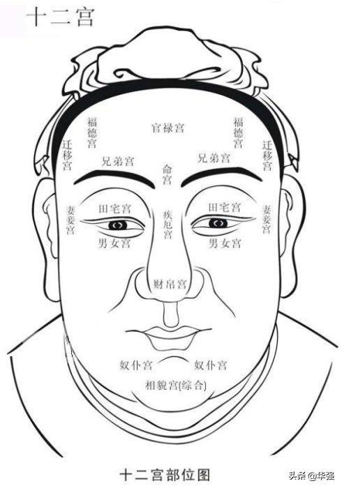 中宫定富贵面相财帛宫详解影响人生轨迹的十大主观因素之相学篇