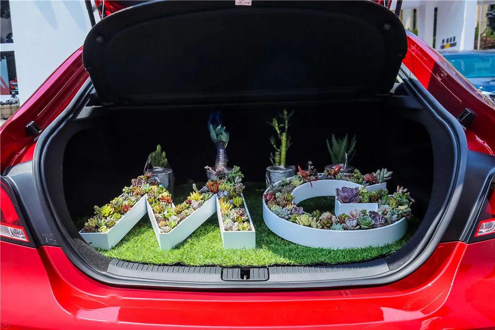 买车打55折还真有小布现场探营五五购物节上汽汽车嘉年华