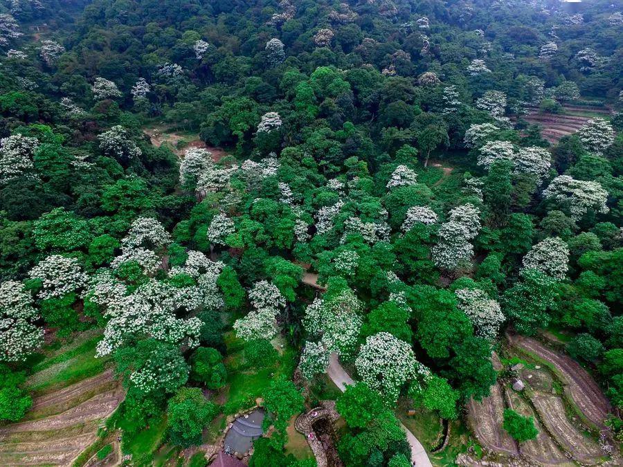 48小时外退出活动,活动费用可退100%;2,活动开始前,24-48小时内退出