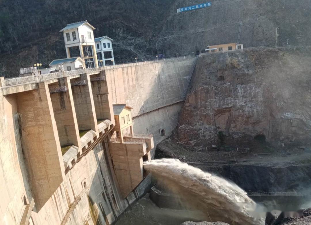 百万斤水库鱼死了,承包户损失600多万元!原因在哪?应该谁来负责?