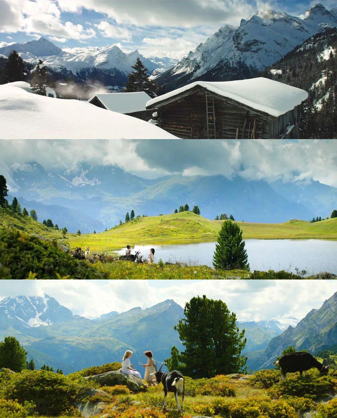 这5部电影,一定要看!_海蒂