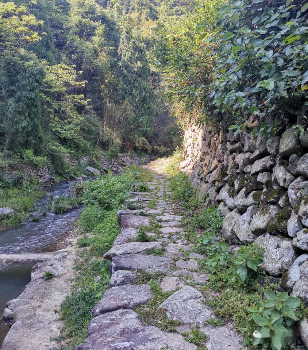 大荆镇桐阳村图片图片