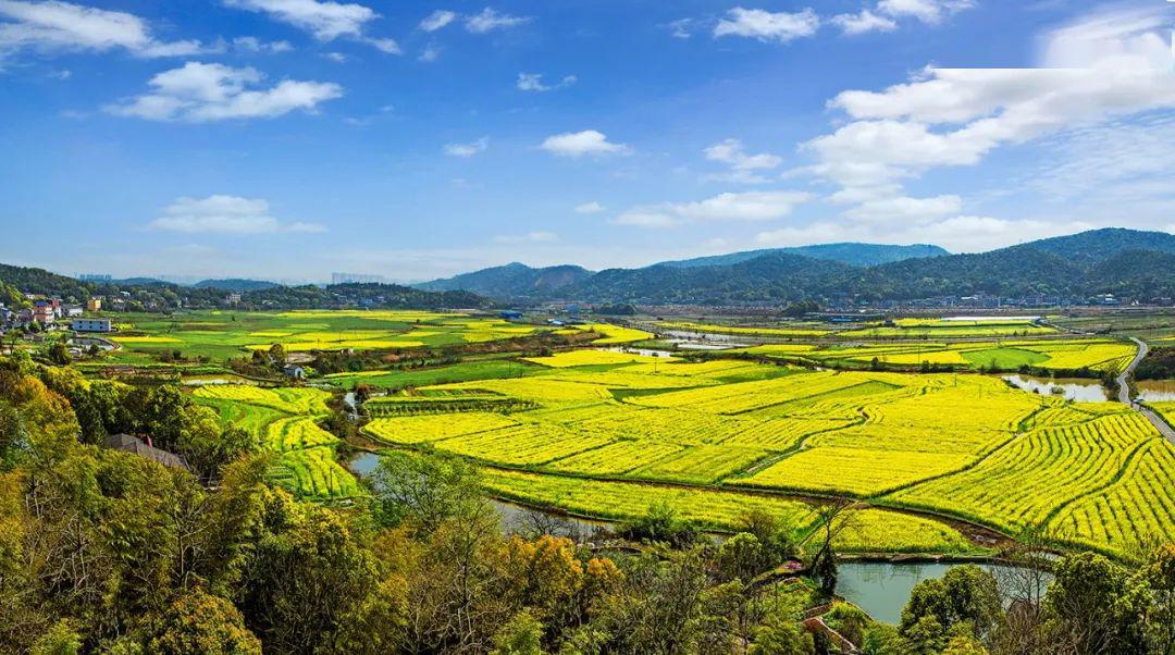 人民网带你云游长沙之岳麓区篇