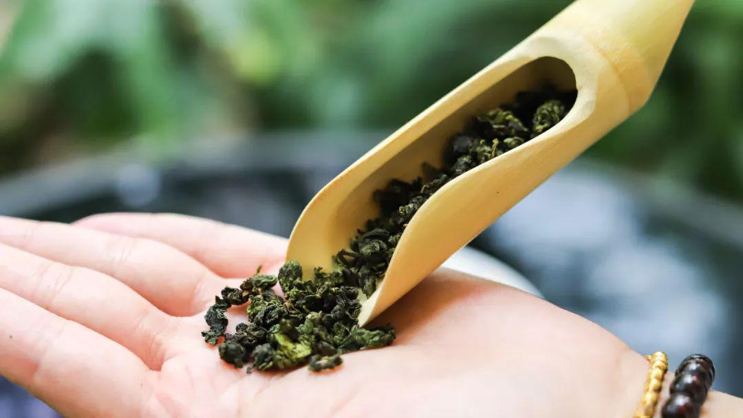 嚼着吃的爆汁葡萄茶厦门100家店买①送①