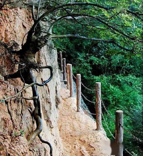 大蜀道丨捷径不易行古道辟苍穹