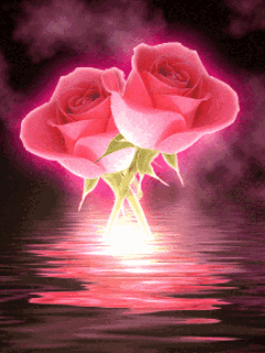 今日五一,51朵玫瑰送给群里所有人!祝你们幸福快乐,永远健康!