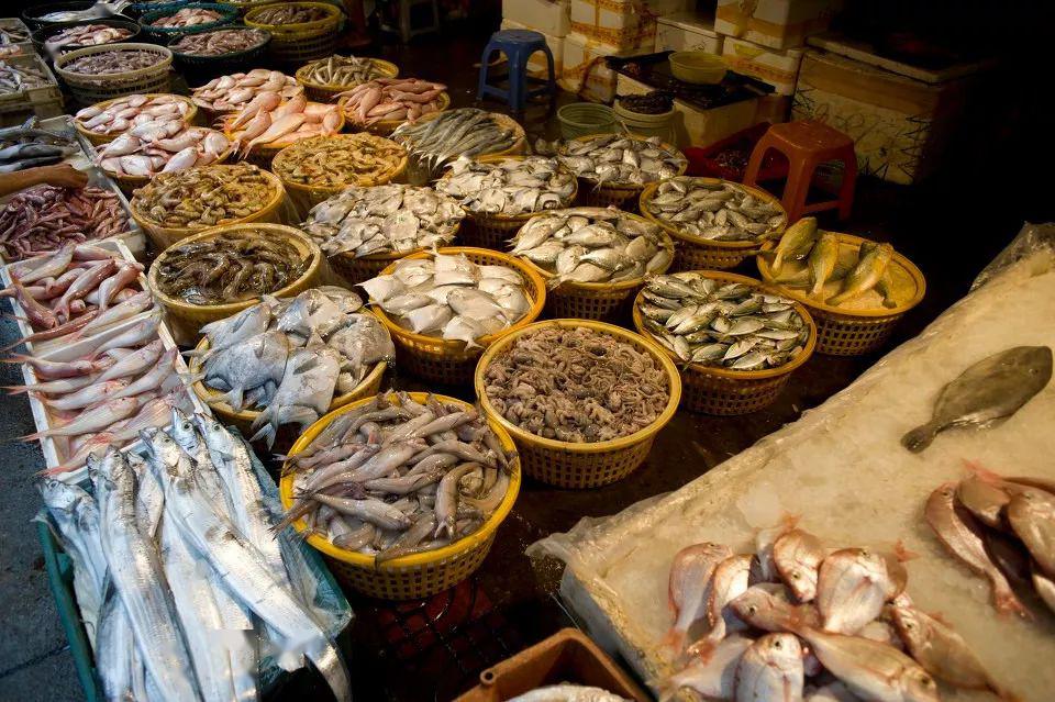 人均300元就能享受天地绝色,人间至味!_霞浦