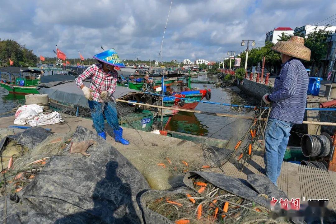 海南渔民冒图片