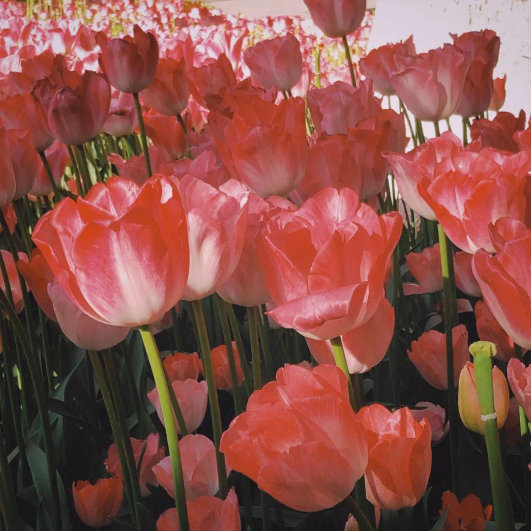 朋友圈背景图高清好看的微信封面图