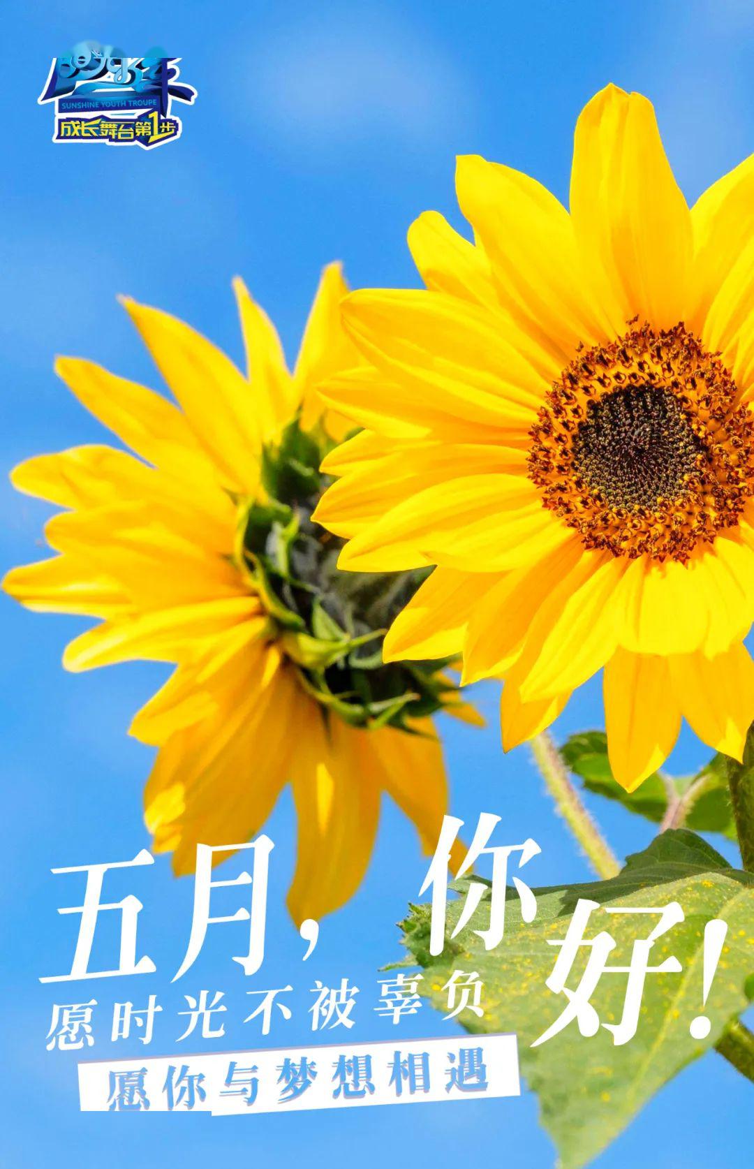 五月你好愿世间美好与你环环相遇