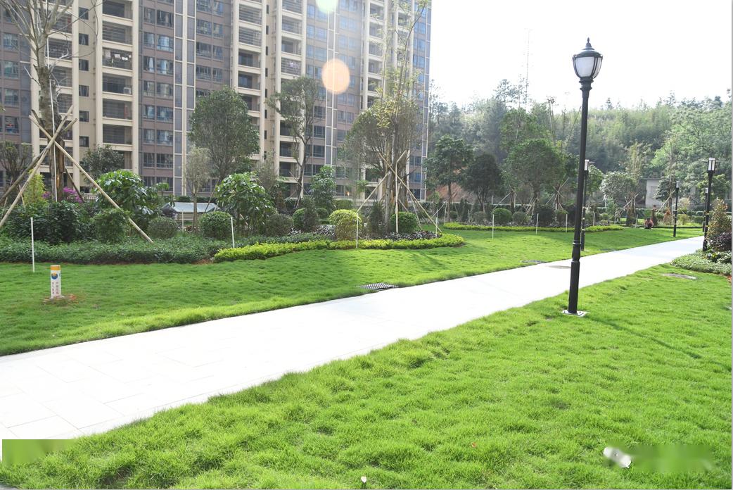 怀集县实验小学塔山分校迎来新动态,这个楼盘关注下._世纪