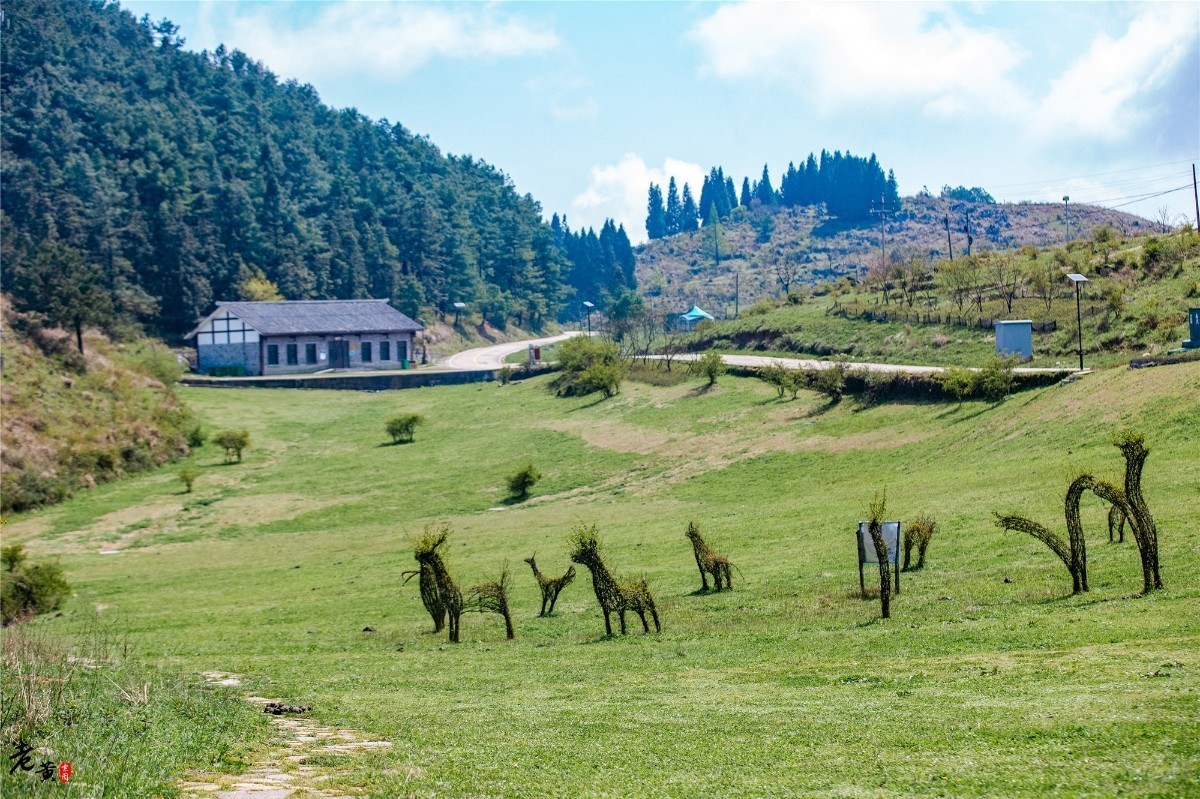 石柱千野草场图片