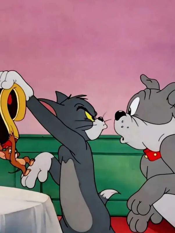 青原创猫和老鼠唤起儿时最纯粹的回忆总第1751期