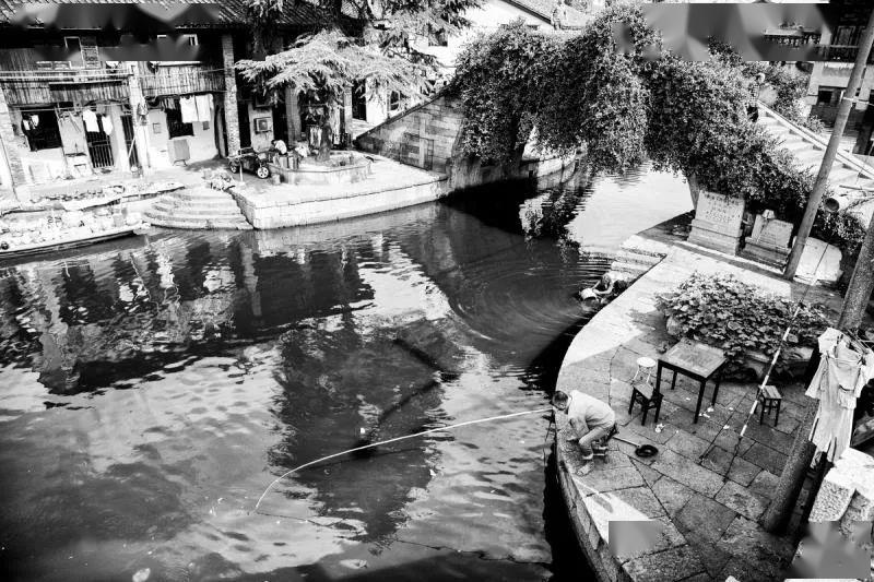 九十多岁的杨乃浚杨老先生马超老师又写了几句头字歌表达一下:柯桥