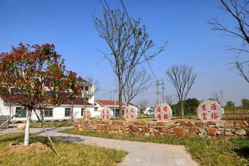 湟里镇西墅村美丽乡村跑出加速度