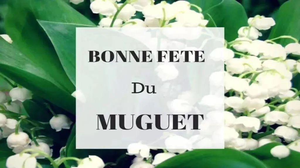 国际五一劳动节暨法国铃兰花节为您带来幸福与好运