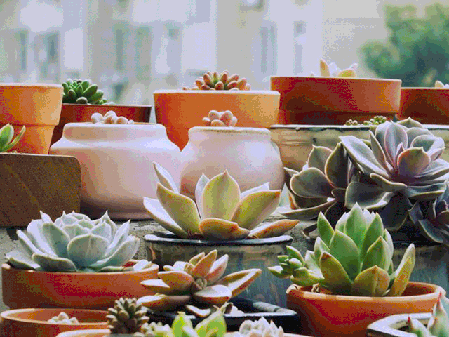 640_480gif 动态图 动图