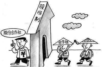 党支部领办合作社操作实务三