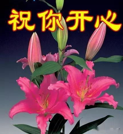 五一最美的早安问候图片 五一祝福动态图片