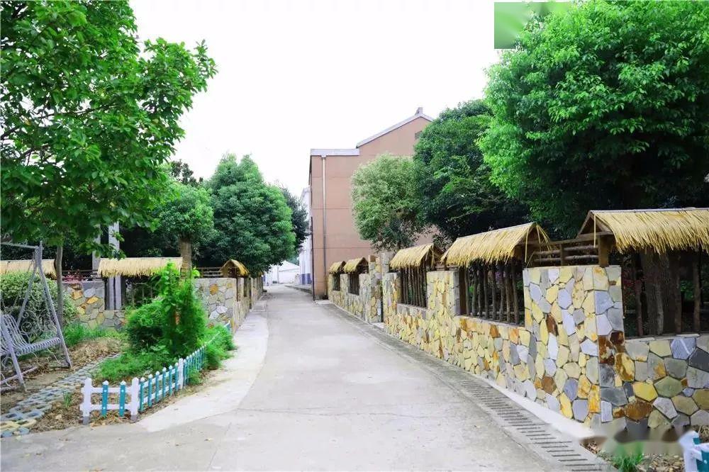 湟里镇西墅村美丽乡村跑出加速度