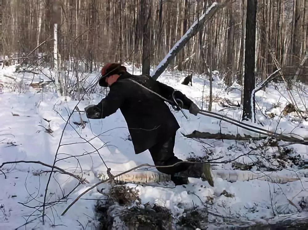 隋海涛 | 这让人泪奔的画面——剁枝丫柴