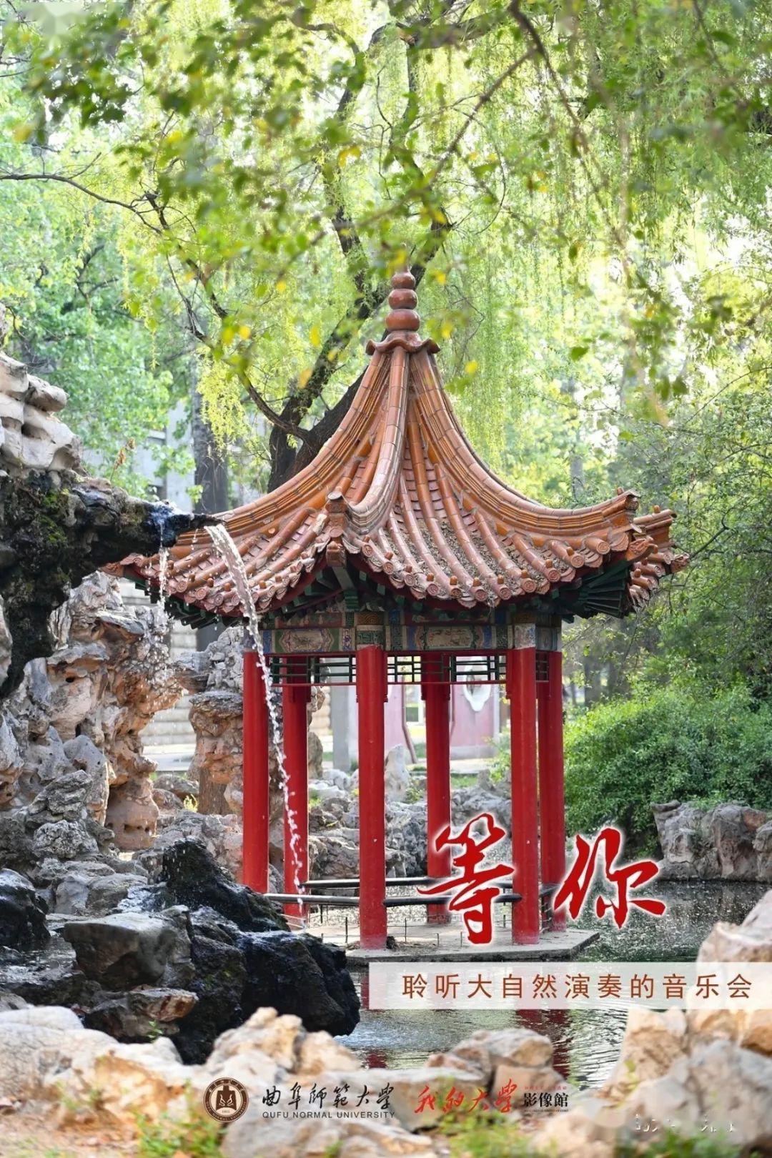 春天即将售罄_曲园