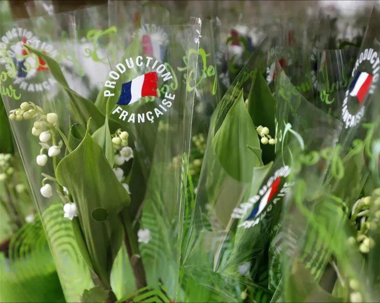 国际五一劳动节暨法国铃兰花节为您带来幸福与好运