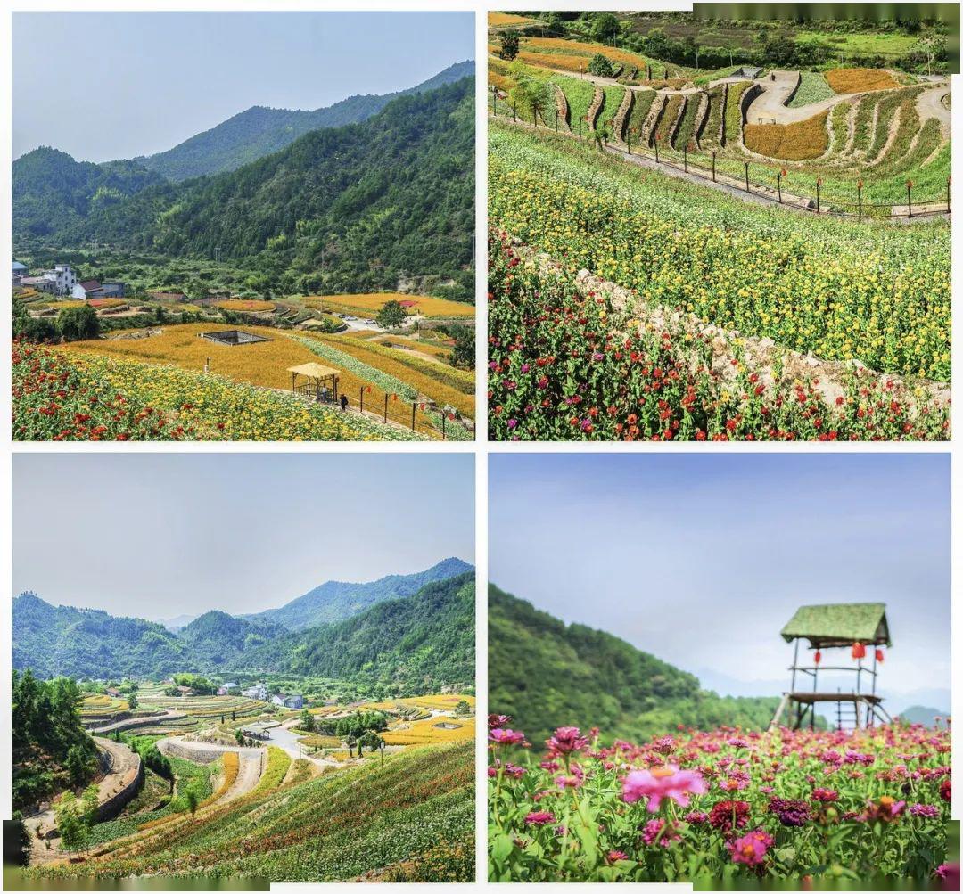 诗和远方就在眼前五一最新flag你准备好了吗