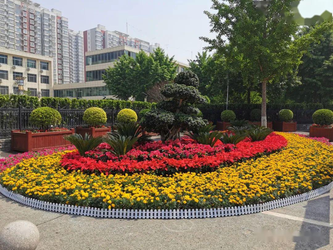 定州新设3个大花坛!