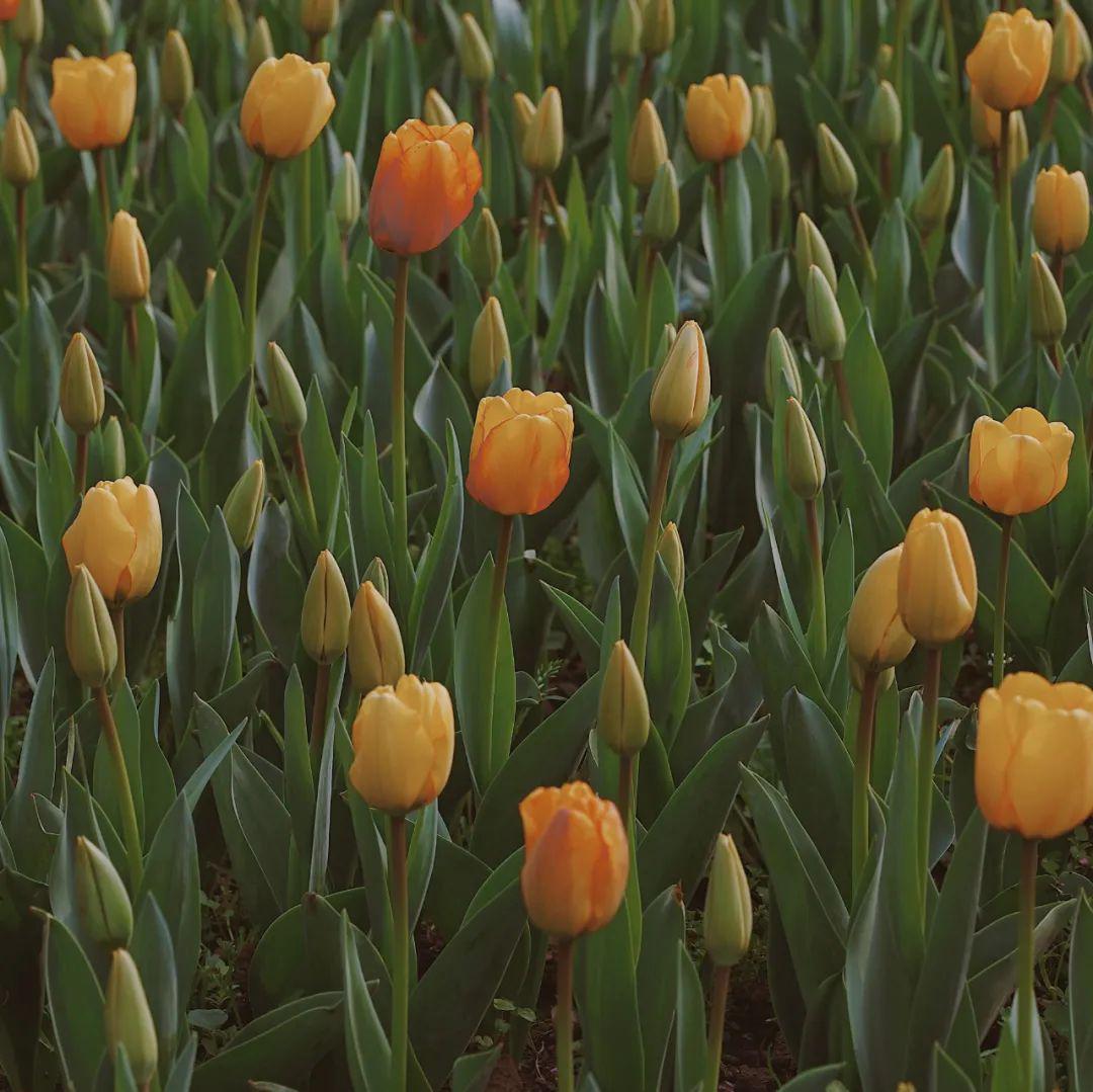 朋友圈背景图高清 | 好看的微信封面图