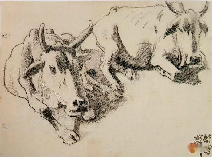 名品视界徐悲鸿素描欣赏